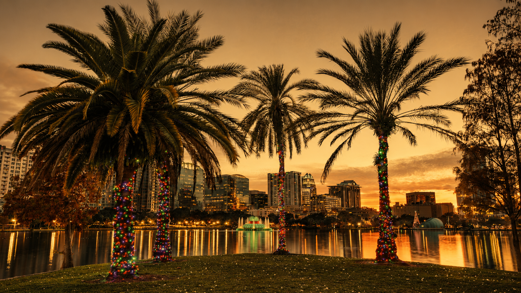 View of Orlando, Florida
